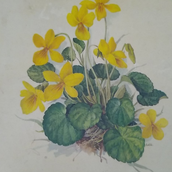 Vintage Mottahedeh wood flower box - Picture 2 of 11